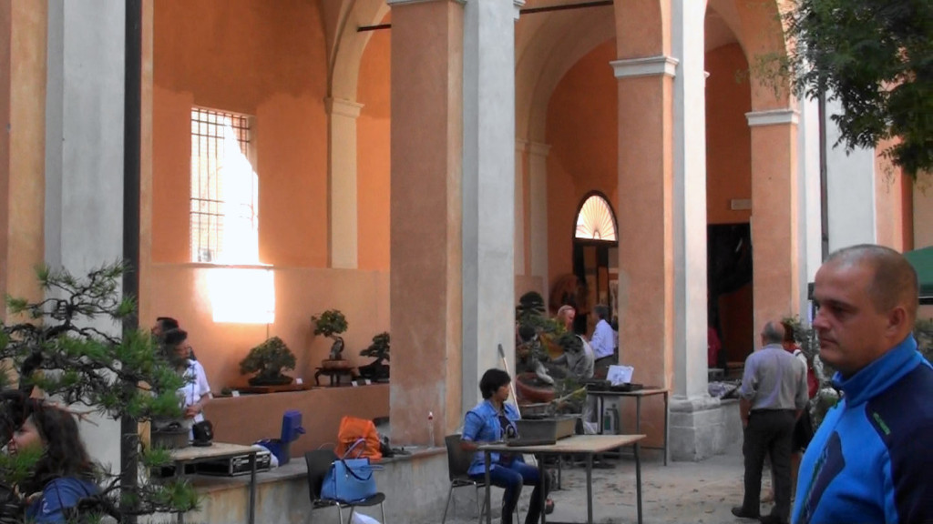 Settembre 2015 dimostrazine alla Giareda di Reggio Emilia (21)