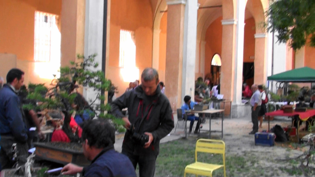 Settembre 2015 dimostrazine alla Giareda di Reggio Emilia (22)