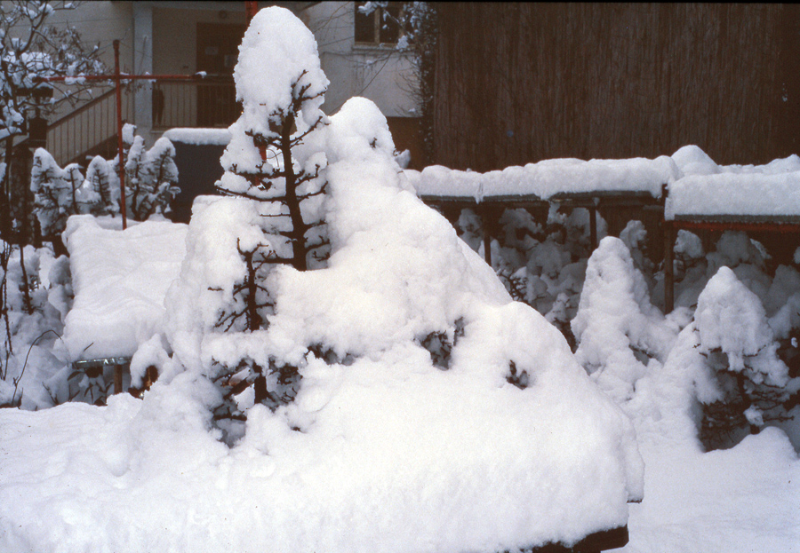 foto-13-marzzo-1995-copiosa-nevicata